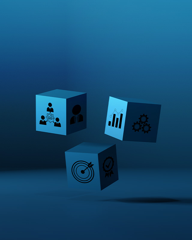Case Studies